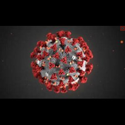 coronavirus.jpg