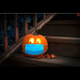 halloween.jpg
