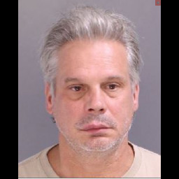 Photo of Pringle, Stephen Oldham 