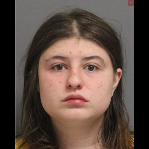 MCSO Mugshot - Savana Desimone - May 29, 2026