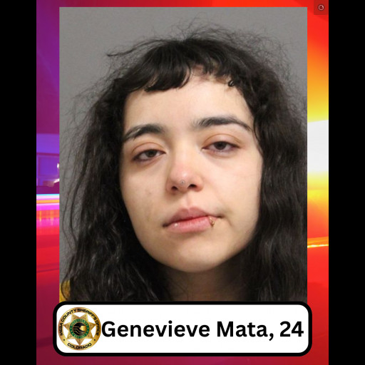 jail booking photo