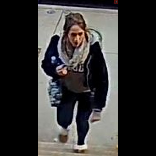 porch_theft_1.jpg