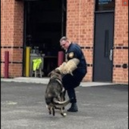 k9_demo_-fisher.jpg