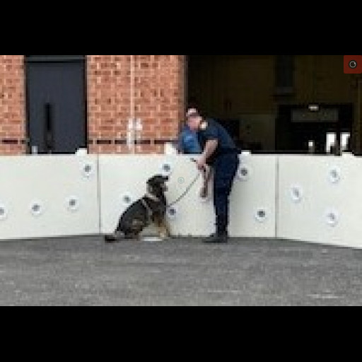 k9_demo_tech_school_2.jpg