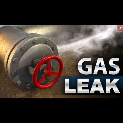 View Larger Image gas_leak_capture.jpg