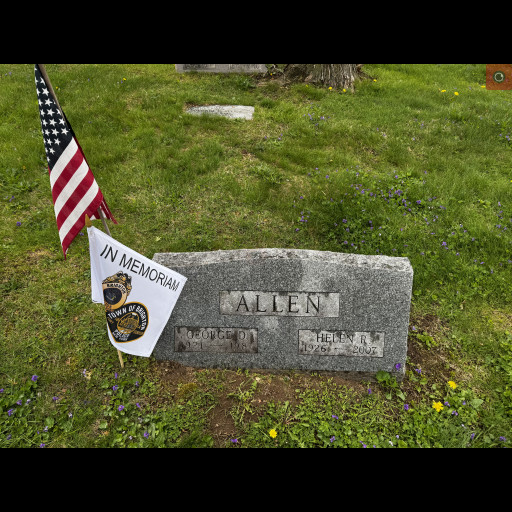 George Allen.jpeg