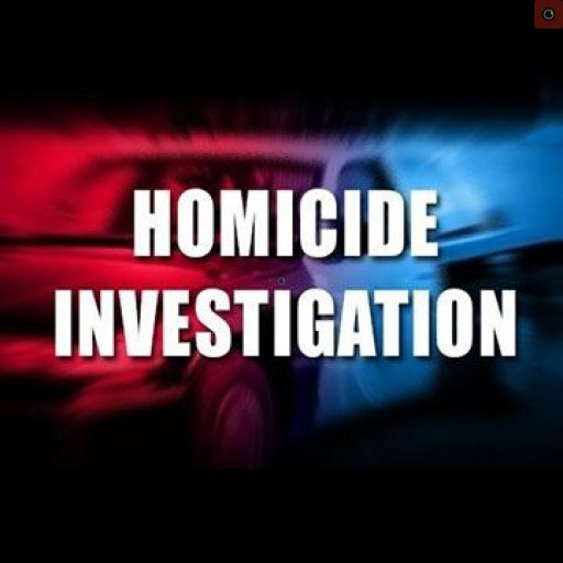 homicide_graphic.jpeg