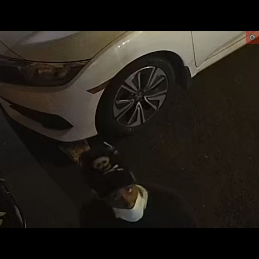 meinekefrontdrivejun03.jpg