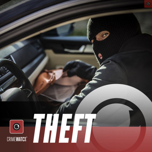vtheft.jpeg