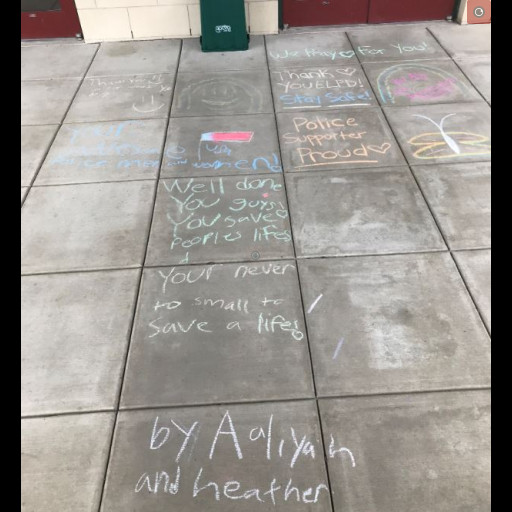 chalk_visitor_2.jpg