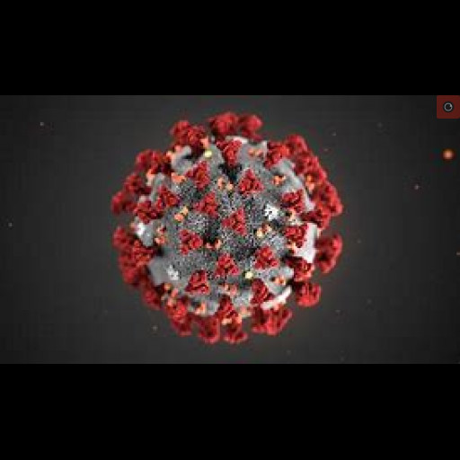 coronavirus.jpg