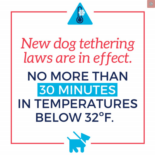 dog_tethering_cold_weather.png